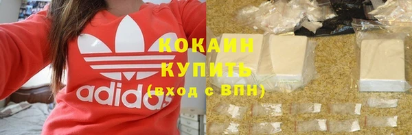 PSILOCYBIN Вуктыл