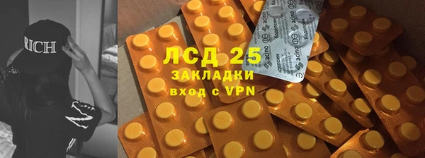 сатива Осташков