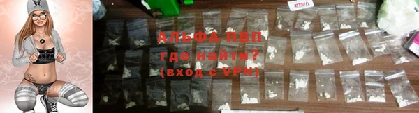 сатива Осташков