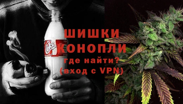 сатива Осташков