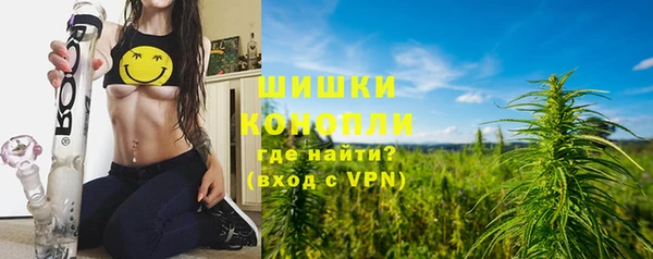 сатива Осташков