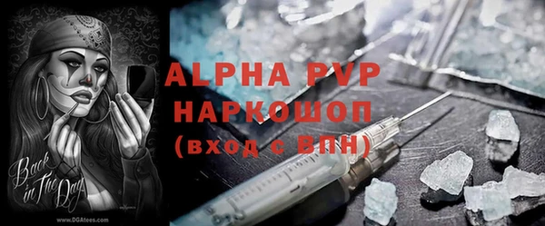 сатива Осташков