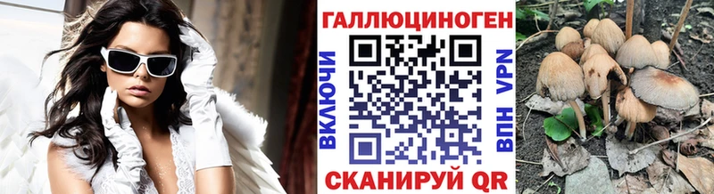 купить   Балей  Псилоцибиновые грибы Psilocybine cubensis 